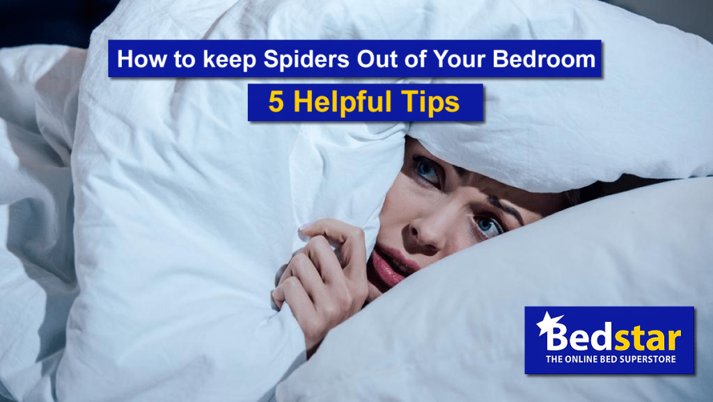 How to Keep Spiders Out of Your Bedroom - 5 Helpful Tips